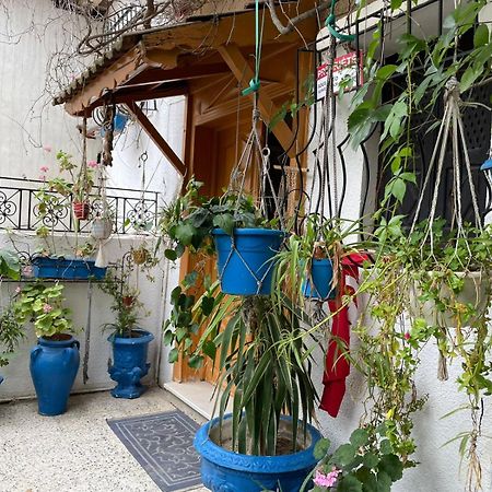 Casa Zitouna - Guest House - Kef, Tunisia Sicca Veneria Eksteriør billede