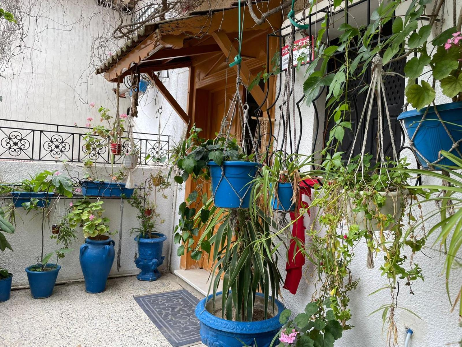 Casa Zitouna - Guest House - Kef, Tunisia Sicca Veneria Eksteriør billede