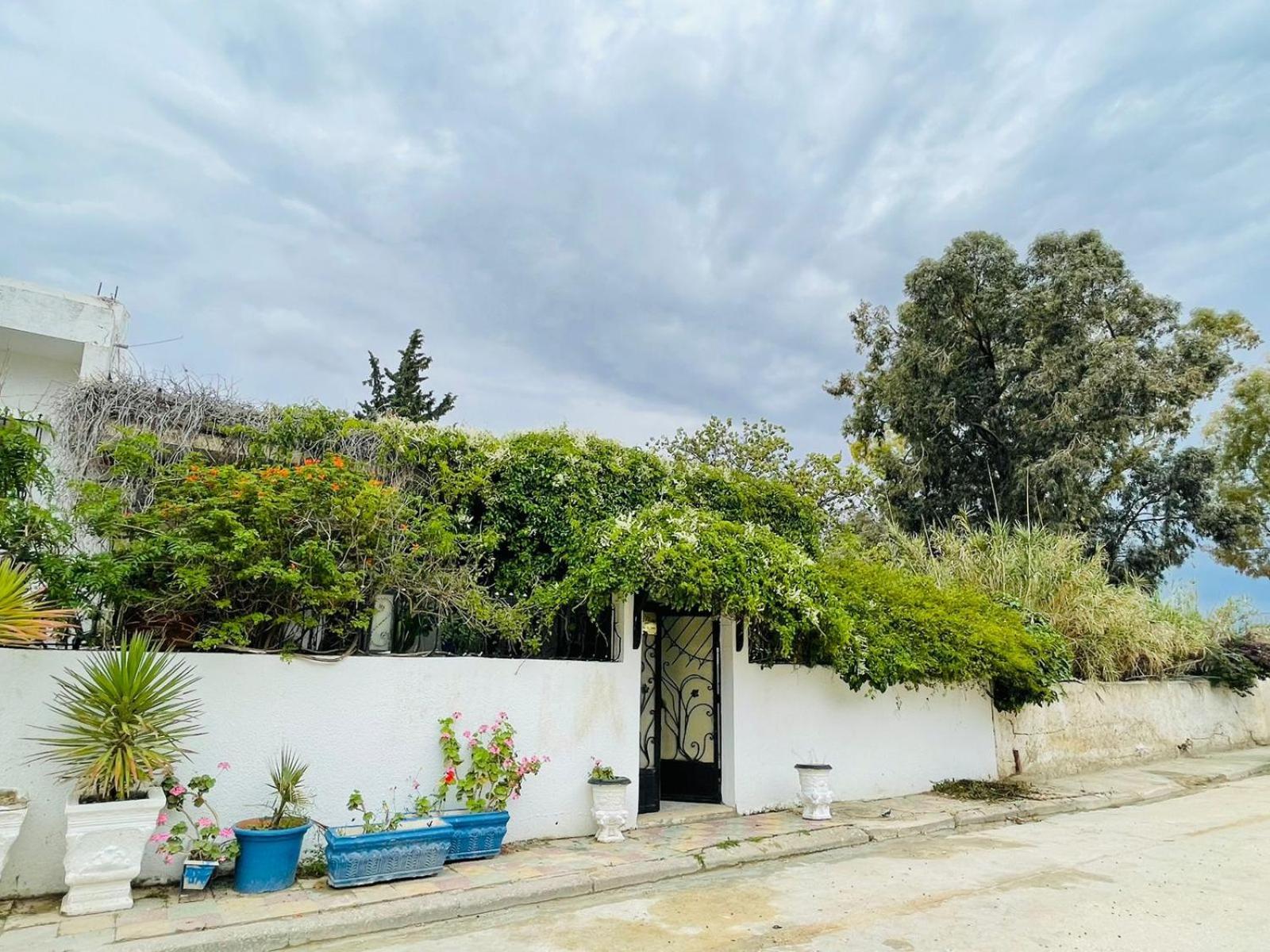 Casa Zitouna - Guest House - Kef, Tunisia Sicca Veneria Eksteriør billede